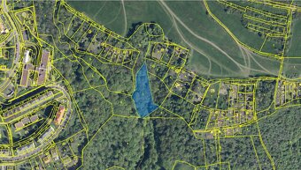 Prodáme lesní pozemek v k.ú. Dobětice - 7