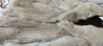 Kanadská přírodní bílá liška - 7