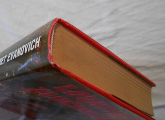 Janet Evanovich - Lovkyně zločinců - 2001 - 7