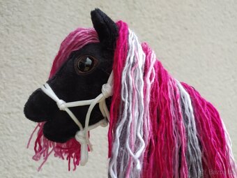 Hobby horse - 7