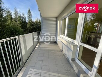 2+kk U Centrálního parku, novostavba s velkou terasou - 7