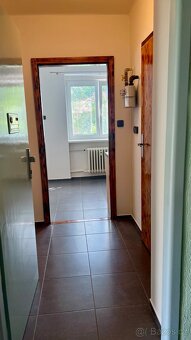 Pronájem bytu 1+1 29 m² se zahradou, Plzeň, bez provize - 7