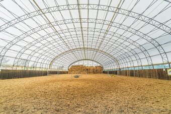 Ustájení koní – Telce u Peruce - 7