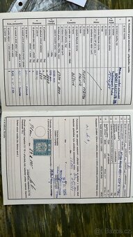 Přívěs za auto - 7