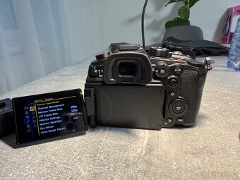 Panasonic LUMIX gh7 - 7