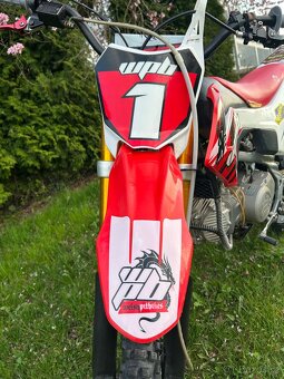 Pit bike Stomp wpb race 155 - 7