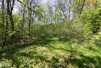 Prodej pozemku k bydlení, 2525 m², Horšovský Týn - 7