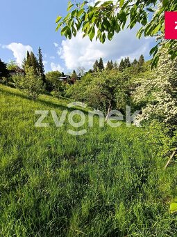 Prodej chaty na Příluku - 7