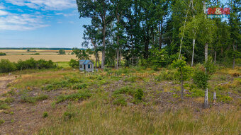 Prodej lesa, 5176 m², Dlouhá Lhota - 7