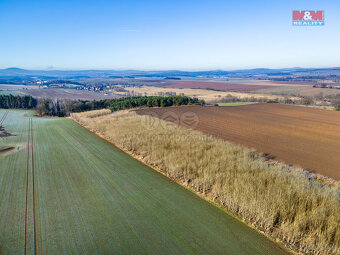 Prodej pole, 24512 m², Horšovský Týn - 7