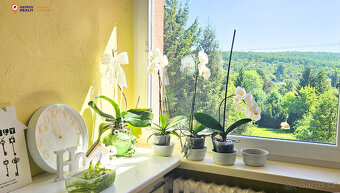 Prodej, Byt 2+1 s dvěma balkony, 66 m2, Brno - Řečkovice - 7