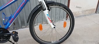 Superior Racer 24" - 7
