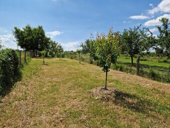 Zahrada u Kyjova 675m² - 7