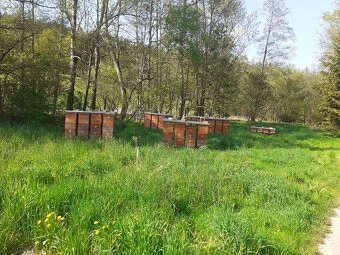 Včelí oddělky 39/30 - 7