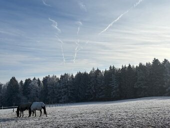 Boxové Ustájení - 7