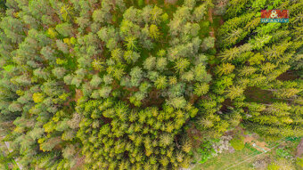Prodej pozemku k bydlení, 5684 m², Kašperské Hory - 7