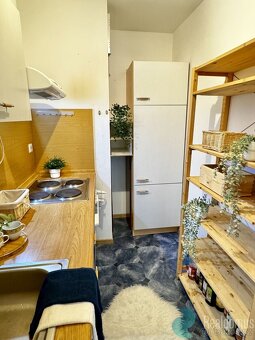 Prodej, apartmán, 2+1, Haidmühle, Německo - 7
