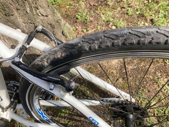 Kilimanjaro x-fact 19inch - 7