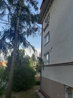 Pokoj k podnájmu v Dejvicích: Skvělé bydlení pro studentku - 7