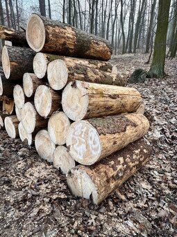 Palivového dřevo-Akce doprava 20.km zdarma - 7