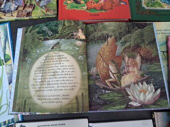 Dětské knihy - pohádky - 7