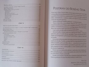 Bosé běhání, Michael Sandler - 7