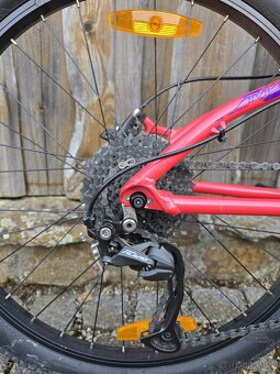 Amulet Youngster 24 - 7