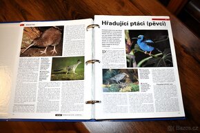 Encyklopedie „Svět poznání“+ Praktická kuchařka - 7
