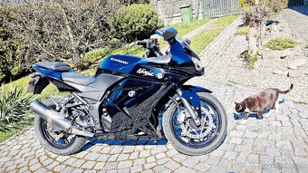 Kawasaki Ninja 250 R - 7