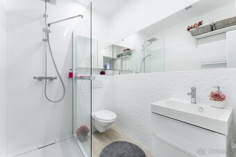 Vybaveny byt 1kk - 7