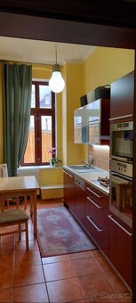 Byt 3+1 Karlovy Vary centrum - 7