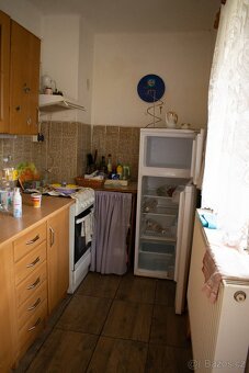 Bedlno u Jesenice, okr. Rakovník - 7