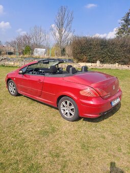 Peugeot 307cc - 7
