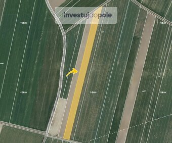 Prodej pole v k.ú. Borkovice - 7
