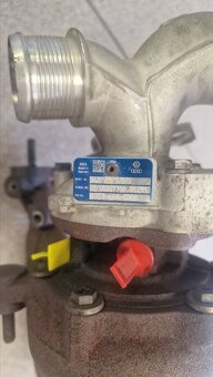 Turba na repas, různé druhy - 7