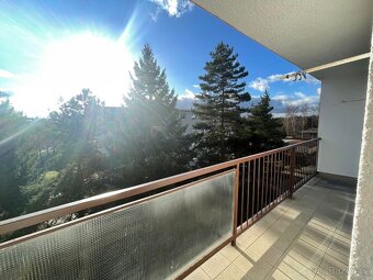 Byt 3+1, Ledečská HB - dělníci, firmy - 7