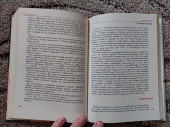 Skleníkové kvetiny na rezanie - Rudolf Votruba - 7