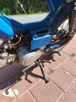 Betka tmec - 7