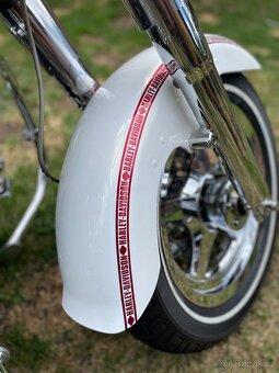 Harley Davidson Fat Boy Anniversary - 7