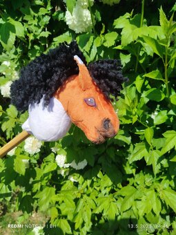 Hobby horse - 7
