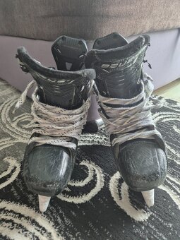Bauer mach vel.5 fit 1, náhradní nože - 7