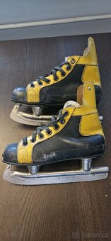Brusle a boty na běžky - 7