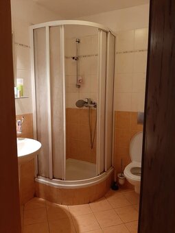 Pronájem pokoje v 4+kk — ideální pro pár v Praha 7 - 7