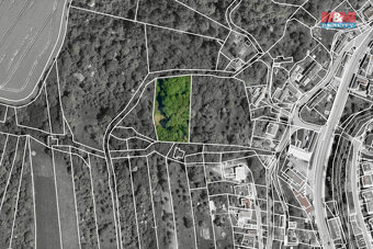 Prodej zahrady, 2923 m², Šarovy - 7