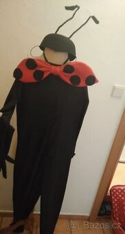 Masopust kostýmy pro dospělé i XXL - 7