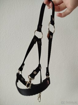 Hobby horse larden - 7