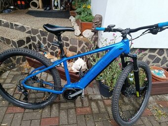 PELLS Thorr First ER - 7