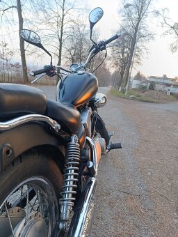 Yamaha Virago 125 - 7