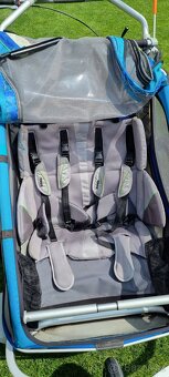 Thule chariot - 7