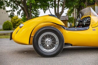 Kougar Sports Roadster 1981 - 7